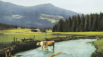 Vom Bergsturz zur Tourismuslandschaft Lenzerheide | © K