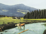 Vom Bergsturz zur Tourismuslandschaft Lenzerheide | © K